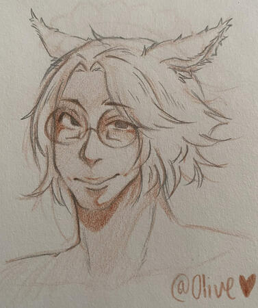 mako kitten